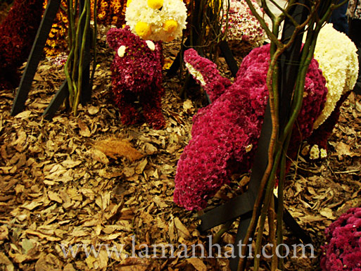 floria093